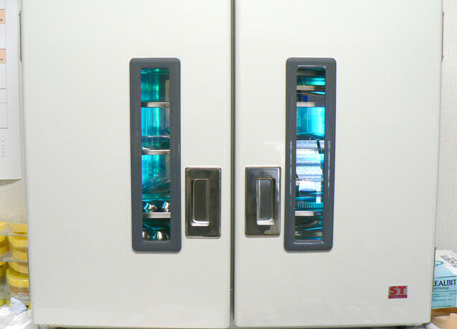 使い捨てを使用